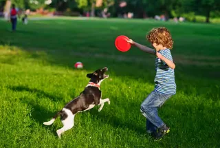 Pet Park at Purva Emerald Bay